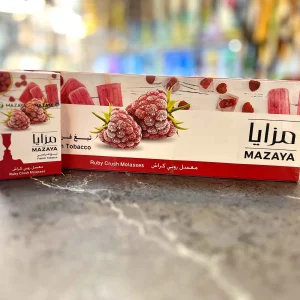 مزایا تمشک بستنی